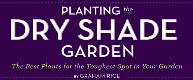 Planting the Dry Shade Garden, Book by Graham Rice